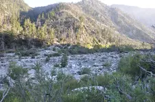 Trip043013a 006.webp