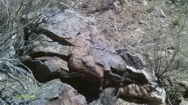 IMAG0274 (4).webp