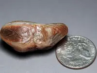 Agate-Pit1LongQ-Img_1737SSS.webp