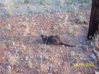 100_2362.webp