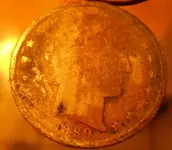 DSCN6264.webp