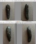 unk_fossil.webp