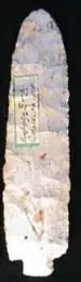 Clipboard02.webp