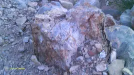 IMAG1420.webp