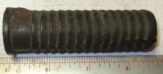 Brass Barb A1.webp