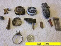 0525NUT.webp