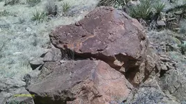 IMAG0339 (4).webp