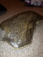 image-4115442000.webp