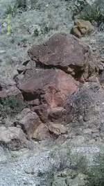 IMAG0340 (4).webp