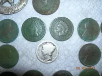 DSCN5881.webp