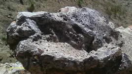 IMAG1147 (2).webp
