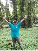 taro patch 2.webp