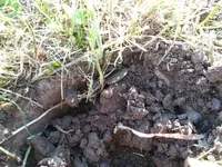 20130606_Roundness in the hole.webp