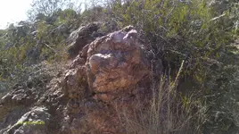 IMAG0880 (2).webp