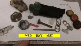0515NUT.webp