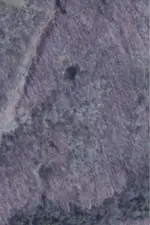 image-1692406142.webp