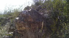 IMAG0881 (2).webp