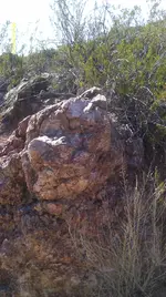 IMAG0882 (2).webp