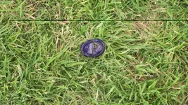 rubber.webp