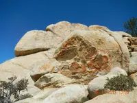 DSCN0712.webp