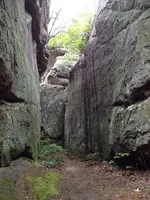 image-1035409237.webp