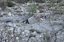 Trip043013 005a.webp