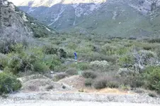 Trip043013 002ab.webp