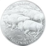 buffalo-silver.jpg