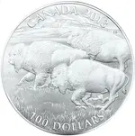buffalo-silver.webp