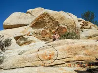 DSCN0714.webp