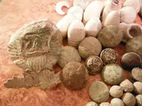 DSCF0182.webp