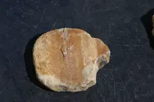 DSC09645.webp