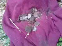 zincoln spill.webp