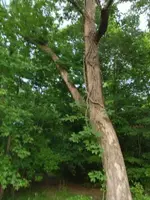 image-1644289277.webp image-1644289277.webp
