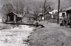 sharonhollow1950.webp