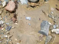 100_5331.webp
