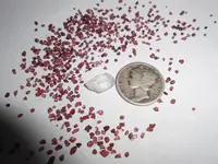DSCN0153.webp