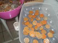 DSCN5058.webp
