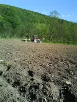 130516_0002.webp