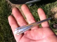 image-4061919530.webp