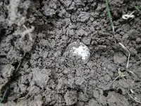 6-6-13 (2).webp