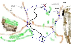 map.webp