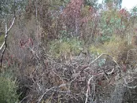 100_2729.webp