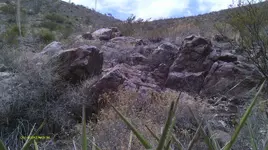 IMAG0746 (3).webp
