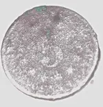 4_14_2013 sheild nickel only.webp 4_14_2013 sheild nickel only.webp