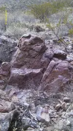 IMAG0747 (2).webp