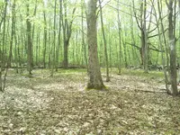 2013-05-10 14.35.45.webp