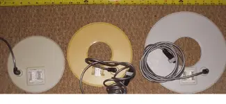 Shark coils.webp