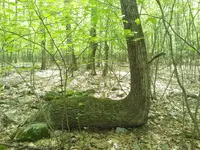 2013-05-10 14.41.06.webp