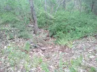 2013-05-10 15.10.05.webp